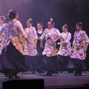Fotografía de Talleres Danza Española (galería 2) - Conservatorio de Danza